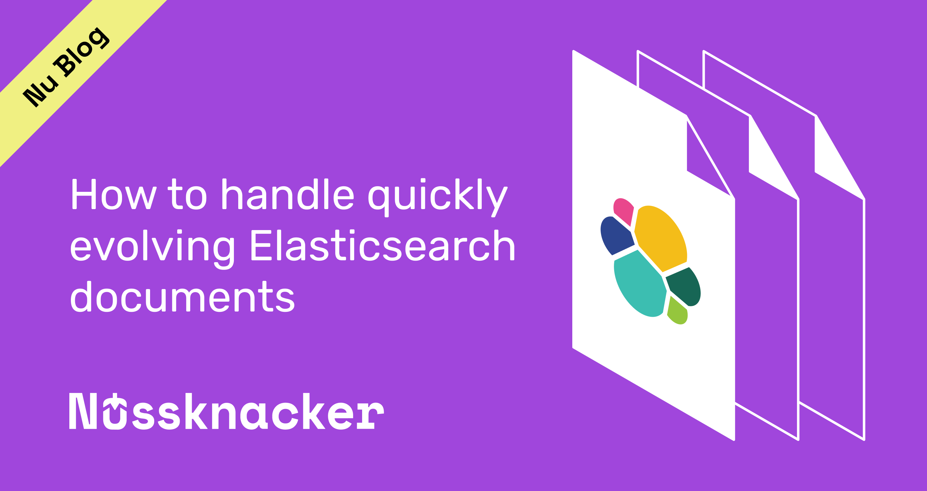 Decision rules on data structures that evolve quickly and Nussknacker’s schema evolution feature
