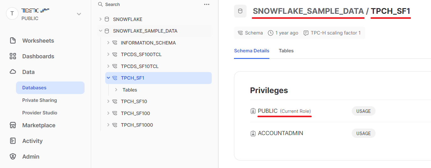 snowflake data sample