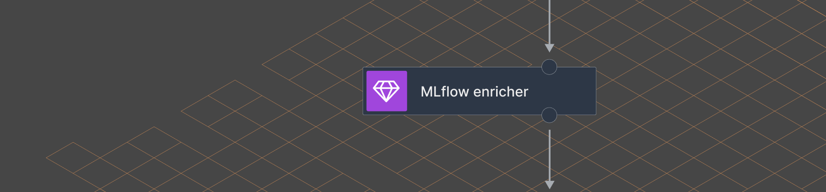 ML flow enricher ML flow enricher